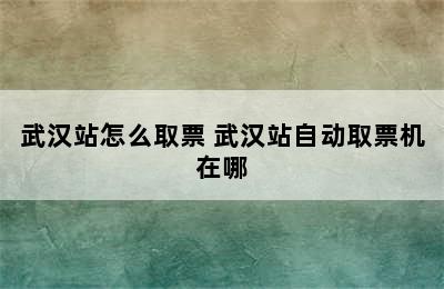 武汉站怎么取票 武汉站自动取票机在哪